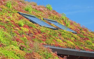 Ruilick living roof systems