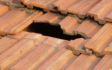 roof repair Ruilick, Highland