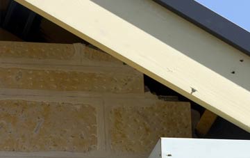 soffit repair Ruilick